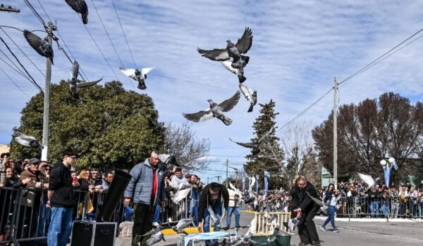 Suelta de palomas durante el homenaje a San Martín en Justo Daract