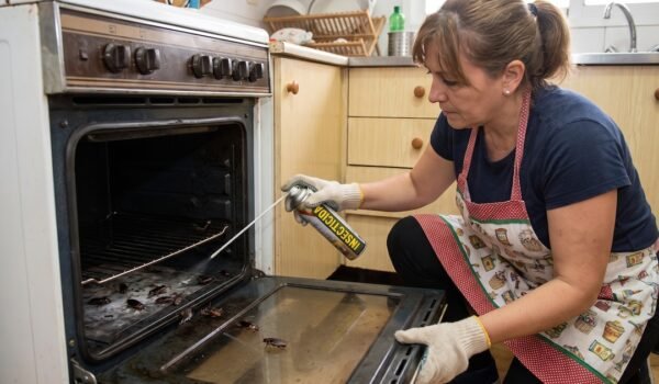 Imagen ilustrativa de una persona limpiando un horno donde se observan cucarachas y aplicando un producto de control de plagas.
