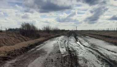 Camino rural de Colón deteriorado, con barro y grandes charcos.