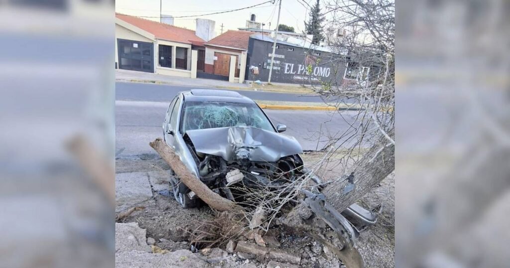 Volkswagen Bora severamente dañado tras chocar contra un árbol en la avenida Centenario de San Luis.