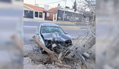 Volkswagen Bora severamente dañado tras chocar contra un árbol en la avenida Centenario de San Luis.