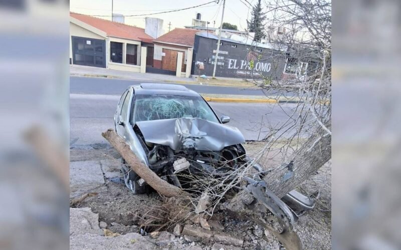 Volkswagen Bora severamente dañado tras chocar contra un árbol en la avenida Centenario de San Luis.