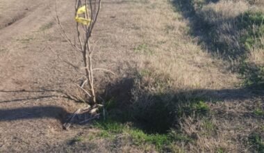 Imagen de archivo y contextual de un camino rural deteriorado, con un pozo junto a un alambrado.