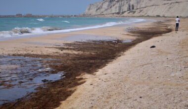 Imagen de archivo de residuos de petróleo en la costa de la isla de Qeshm, Irán, en el entorno del estrecho de Ormuz.