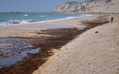 Imagen de archivo de residuos de petróleo en la costa de la isla de Qeshm, Irán, en el entorno del estrecho de Ormuz.