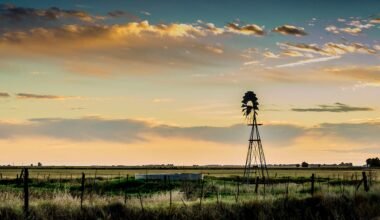 Imagen de archivo de un paisaje rural agrícola al atardecer, con un molino de viento y campos en el horizonte.