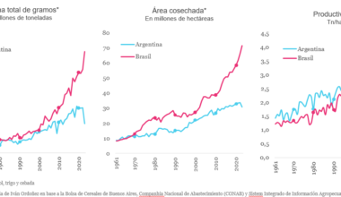Gráfico de CIPPEC que compara la evolución de la cosecha, el área cosechada y la productividad agropecuaria de Argentina y Brasil.