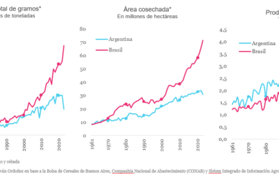 Gráfico de CIPPEC que compara la evolución de la cosecha, el área cosechada y la productividad agropecuaria de Argentina y Brasil.