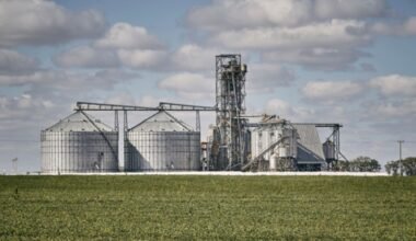 Imagen contextual de una planta de acopio de granos junto a un campo agrícola.
