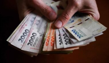 Imagen ilustrativa de manos contando billetes argentinos para representar el uso de dinero prestado en los hogares.