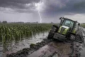 Imagen de archivo de un campo de maíz anegado durante una tormenta, como representación contextual de posibles impactos de El Niño en la actividad agropecuaria.