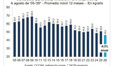 Gráfico de CICCRA sobre el consumo de carne vacuna por habitante, que muestra el descenso a 46 kilos anuales en 2026.