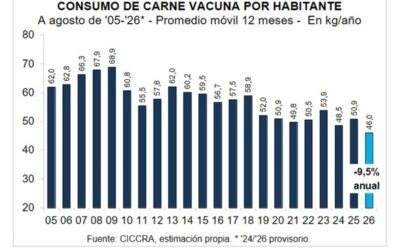 Gráfico de CICCRA sobre el consumo de carne vacuna por habitante, que muestra el descenso a 46 kilos anuales en 2026.