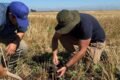 Imagen contextual de productores trabajando en un cultivo.