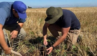 Imagen contextual de productores trabajando en un cultivo.