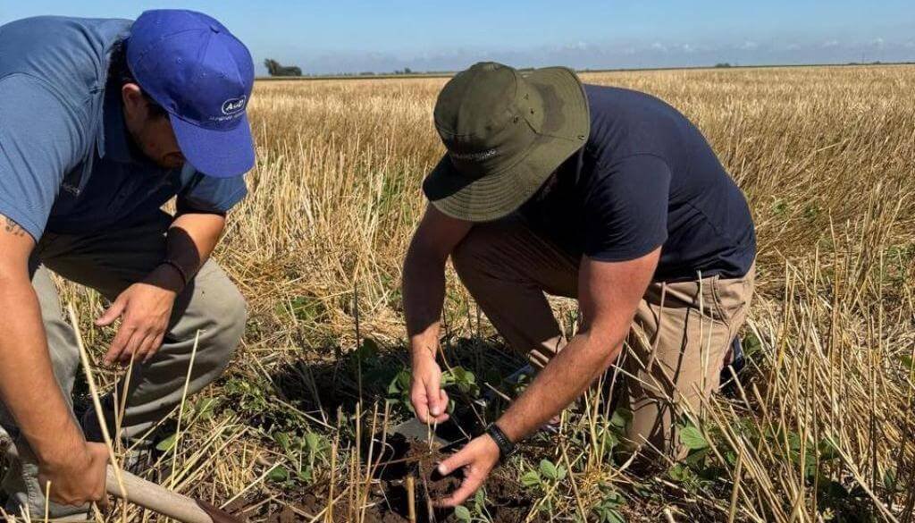 Imagen contextual de productores trabajando en un cultivo.