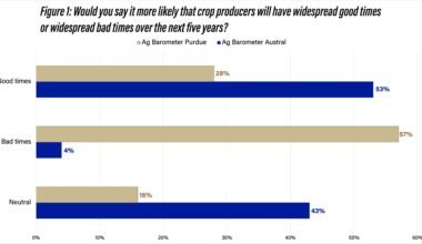 Gráfico comparativo: el 53% de los productores argentinos esperaba buenos tiempos agrícolas durante los próximos cinco años, frente al 28% de los estadounidenses.