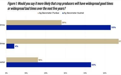 Gráfico comparativo: el 53% de los productores argentinos esperaba buenos tiempos agrícolas durante los próximos cinco años, frente al 28% de los estadounidenses.