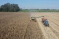 Imagen de archivo de una cosechadora trabajando en un campo agrícola junto a un tractor.