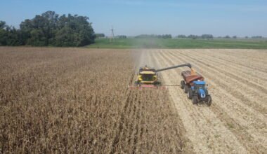 Imagen de archivo de una cosechadora trabajando en un campo agrícola junto a un tractor.
