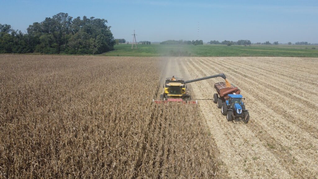 Imagen de archivo de una cosechadora trabajando en un campo agrícola junto a un tractor.