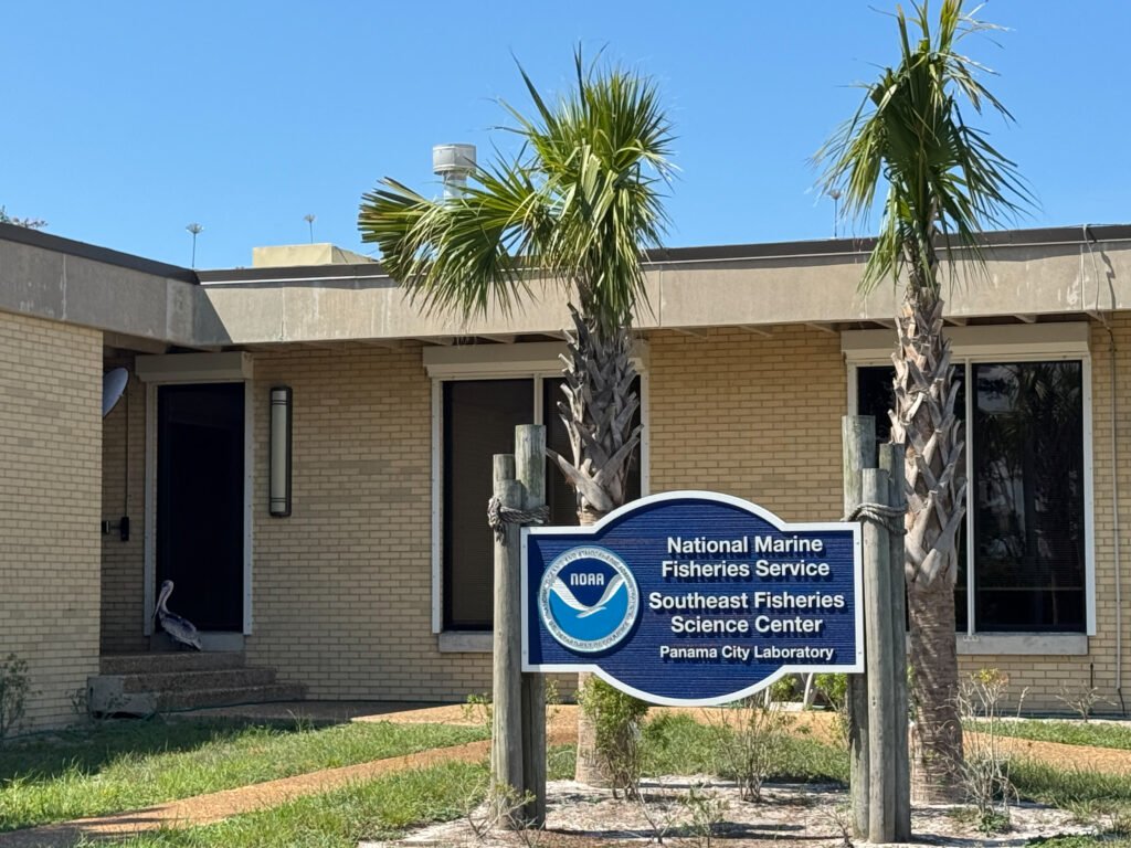 Imagen contextual de archivo del laboratorio de NOAA en Panama City, Florida, donde fue rescatado el pelícano herido.