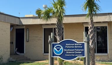 Imagen contextual de archivo del laboratorio de NOAA en Panama City, Florida, donde fue rescatado el pelícano herido.