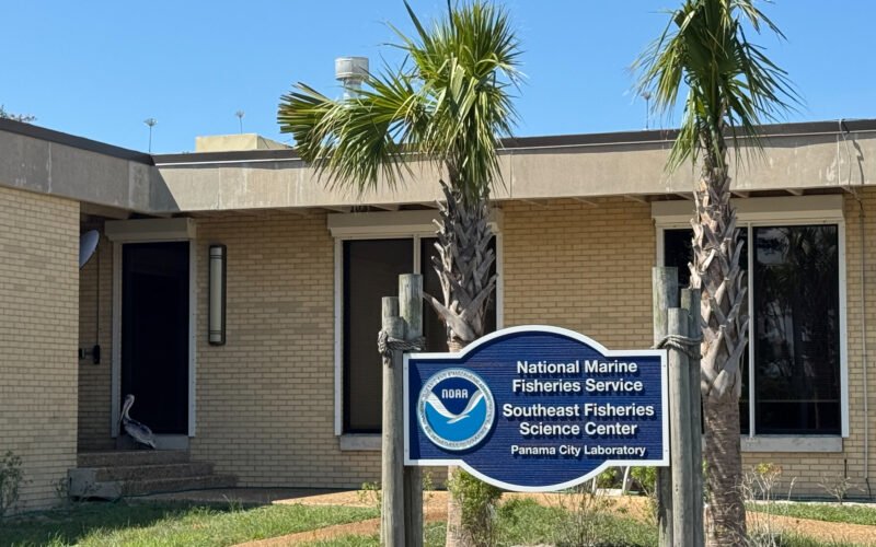 Imagen contextual de archivo del laboratorio de NOAA en Panama City, Florida, donde fue rescatado el pelícano herido.