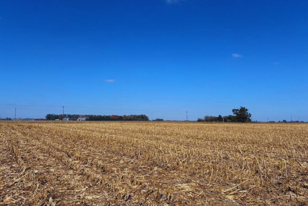 Imagen contextual de un campo agrícola cosechado.