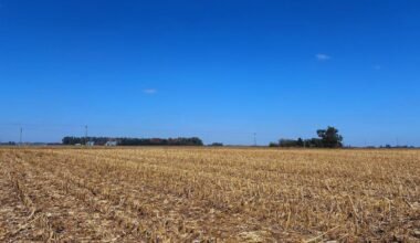 Imagen contextual de un campo agrícola cosechado.