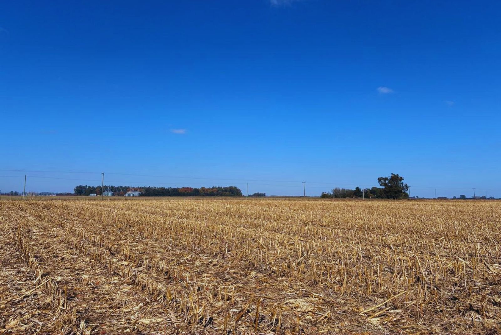 Imagen contextual de un campo agrícola cosechado.