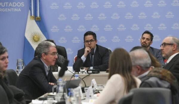 Integrantes de una comisión de Diputados reunidos alrededor de una mesa durante el plenario sobre endeudamiento familiar.
