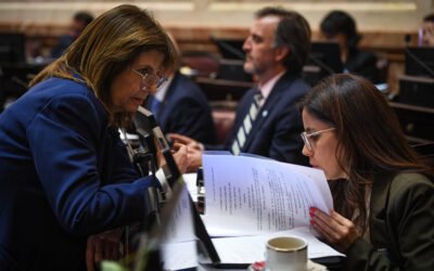 Ivanna Arrascaeta y Patricia Bullrich revisan el dictamen de Salud Mental en el recinto del Senado.