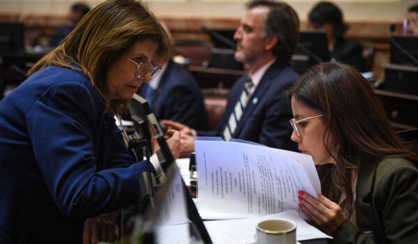 Ivanna Arrascaeta y Patricia Bullrich revisan el dictamen de Salud Mental en el recinto del Senado.