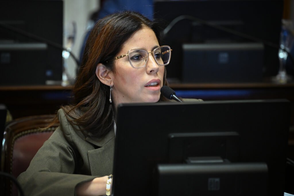 Ivanna Arrascaeta interviene al micrófono durante la sesión del Senado del 29 de octubre de 2026.