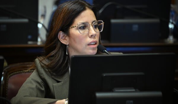 Ivanna Arrascaeta interviene al micrófono durante la sesión del Senado del 29 de octubre de 2026.