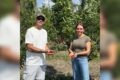 Imagen contextual del proyecto de cerezas ultratempranas: dos personas sostienen cerezas entre los árboles.