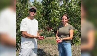 Imagen contextual del proyecto de cerezas ultratempranas: dos personas sostienen cerezas entre los árboles.
