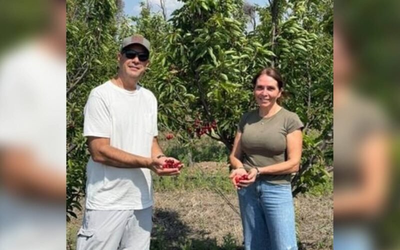 Imagen contextual del proyecto de cerezas ultratempranas: dos personas sostienen cerezas entre los árboles.
