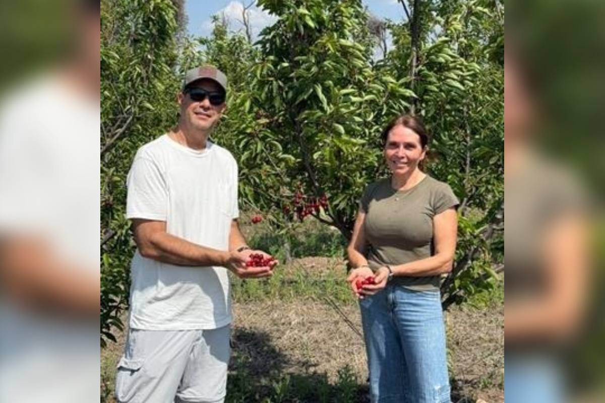 Imagen contextual del proyecto de cerezas ultratempranas: dos personas sostienen cerezas entre los árboles.