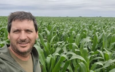 Hugo Lattanzi junto a un cultivo de maíz; imagen contextual de la nota sobre su proyecto agrícola en Lamarque.