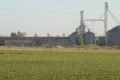 Imagen de archivo contextual: un cultivo frente a silos de almacenamiento.