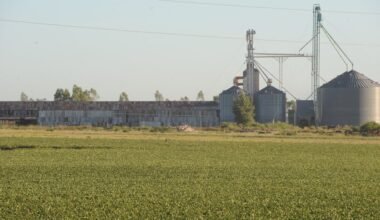 Imagen de archivo contextual: un cultivo frente a silos de almacenamiento.