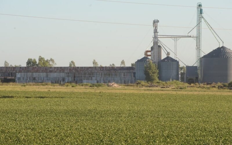 Imagen de archivo contextual: un cultivo frente a silos de almacenamiento.