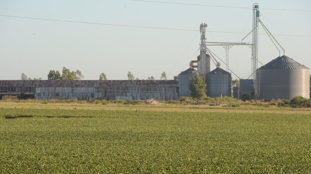 Imagen de archivo contextual: un cultivo frente a silos de almacenamiento.