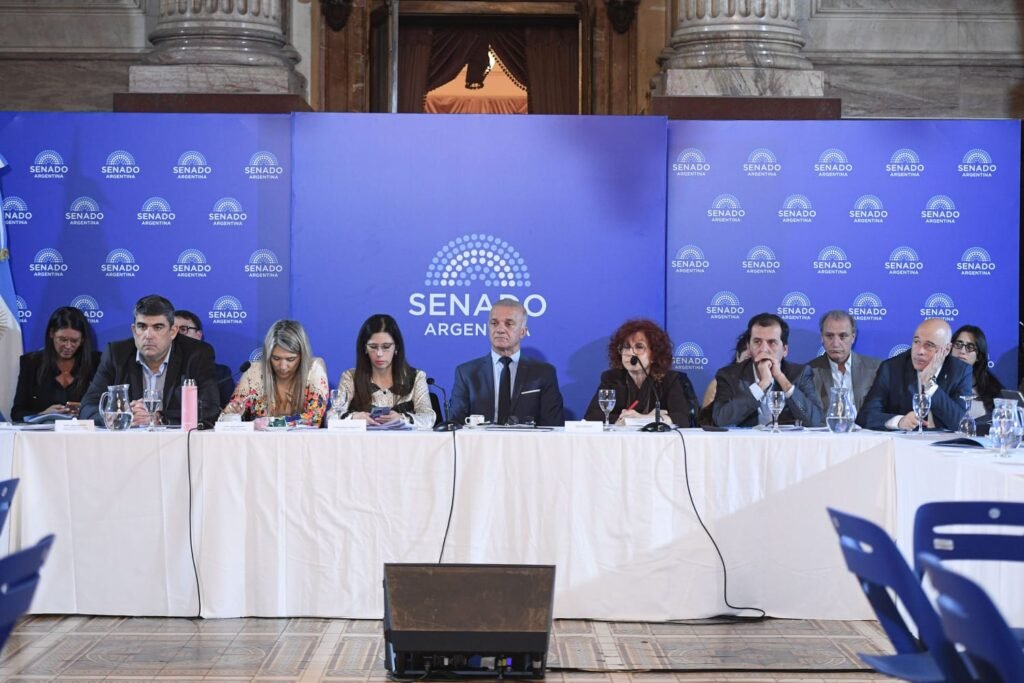 Imagen de archivo de una reunión en el Senado durante la presentación del proyecto de reforma de la Ley de Salud Mental.