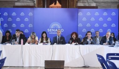 Imagen de archivo de una reunión en el Senado durante la presentación del proyecto de reforma de la Ley de Salud Mental.