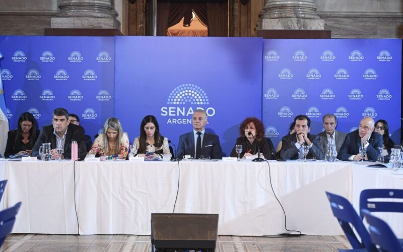 Imagen de archivo de una reunión en el Senado durante la presentación del proyecto de reforma de la Ley de Salud Mental.