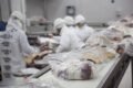 Imagen de archivo de trabajadores procesando carne en una planta agroindustrial.