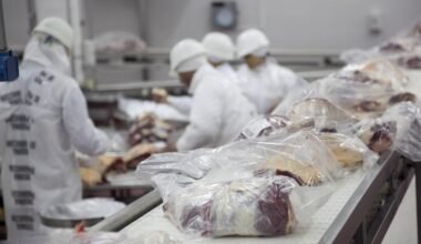 Imagen de archivo de trabajadores procesando carne en una planta agroindustrial.